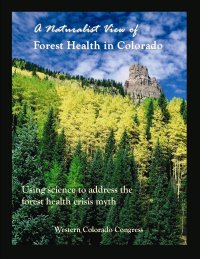 Healthy Forest Report