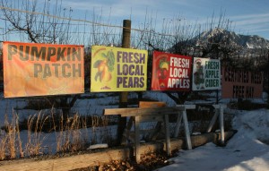 North-Fork-orchard-signs