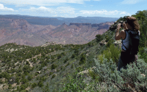 Overlooking Lumsden Canyon, one of several inventoried "Lands with Wilderness Characteristics" that the BLM's plan fails to protect. Photo by Kate Graham with Conservation Colorado.